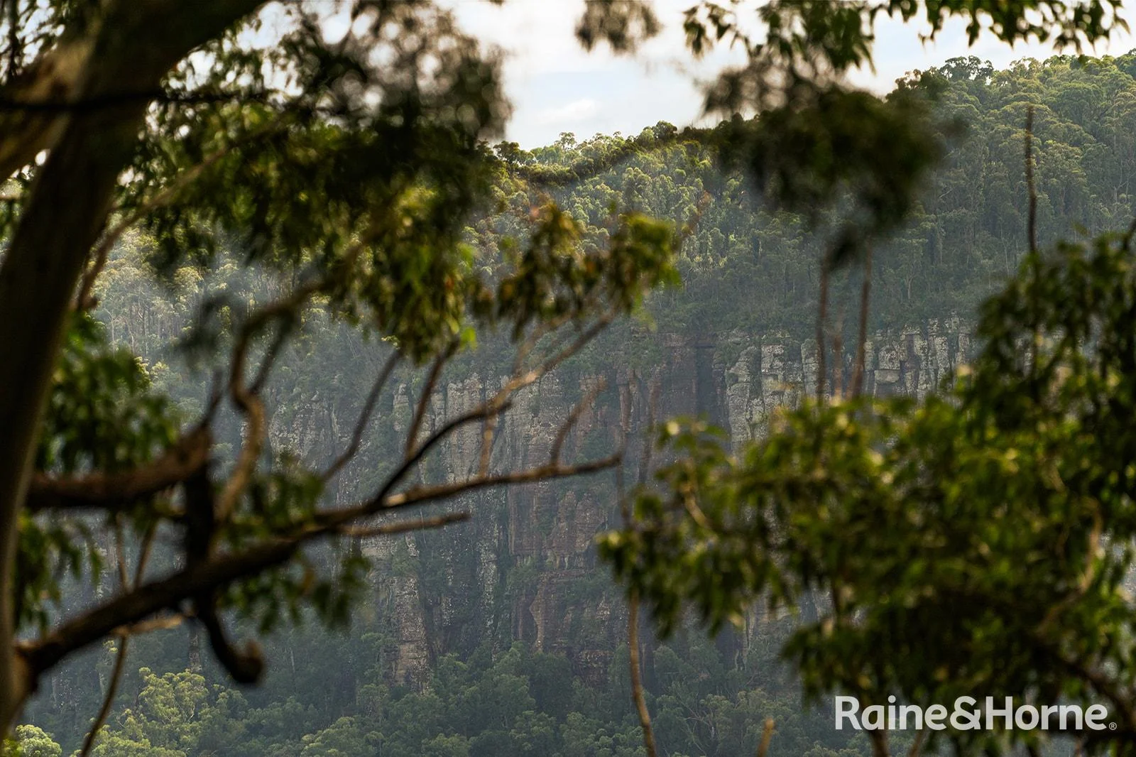 Additional image 7 of Lot 1 Selbys Road, Budgong NSW 2577