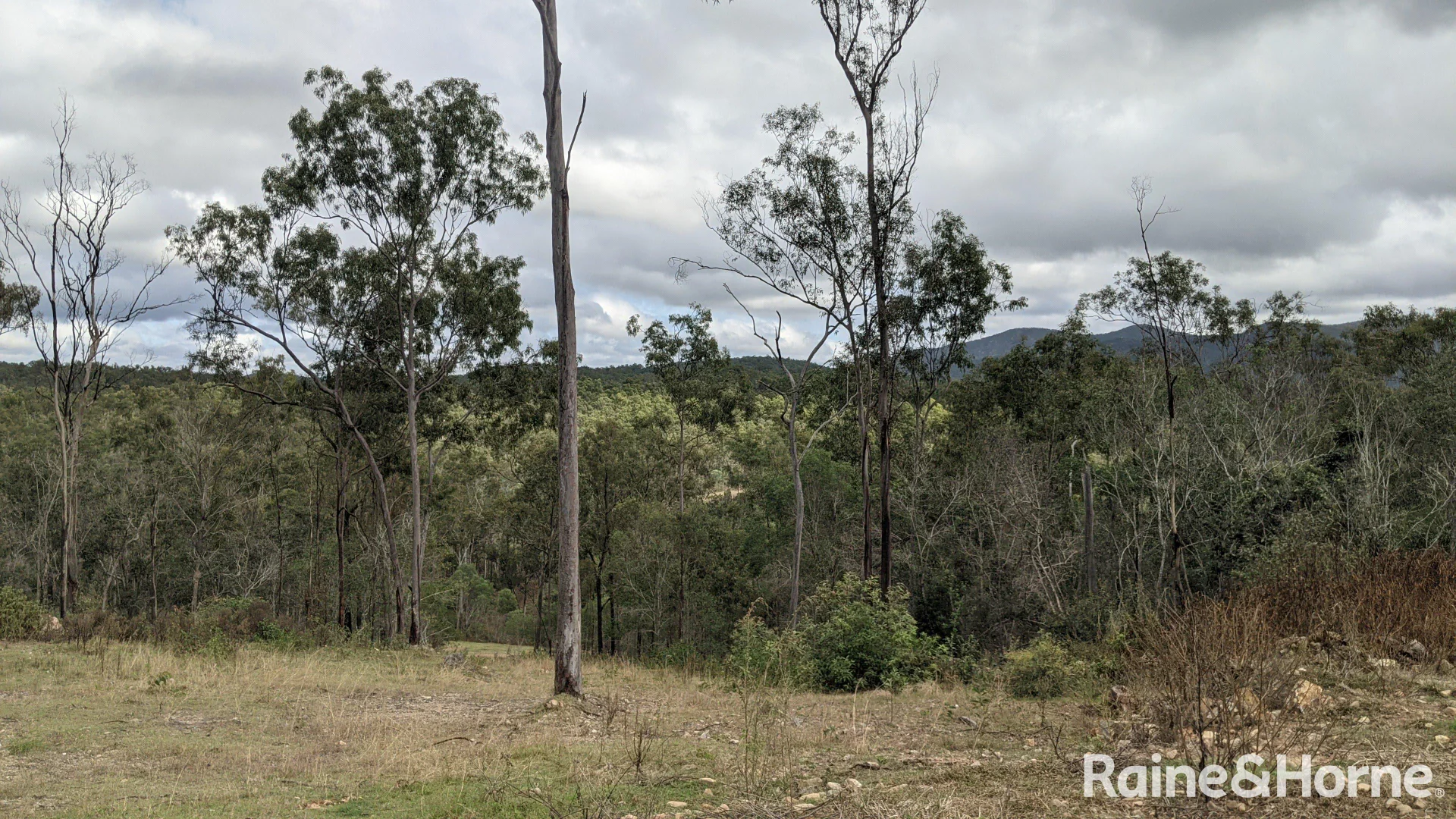 Additional image 7 of Lot 38 Tenningering Road, Good Night QLD 4671