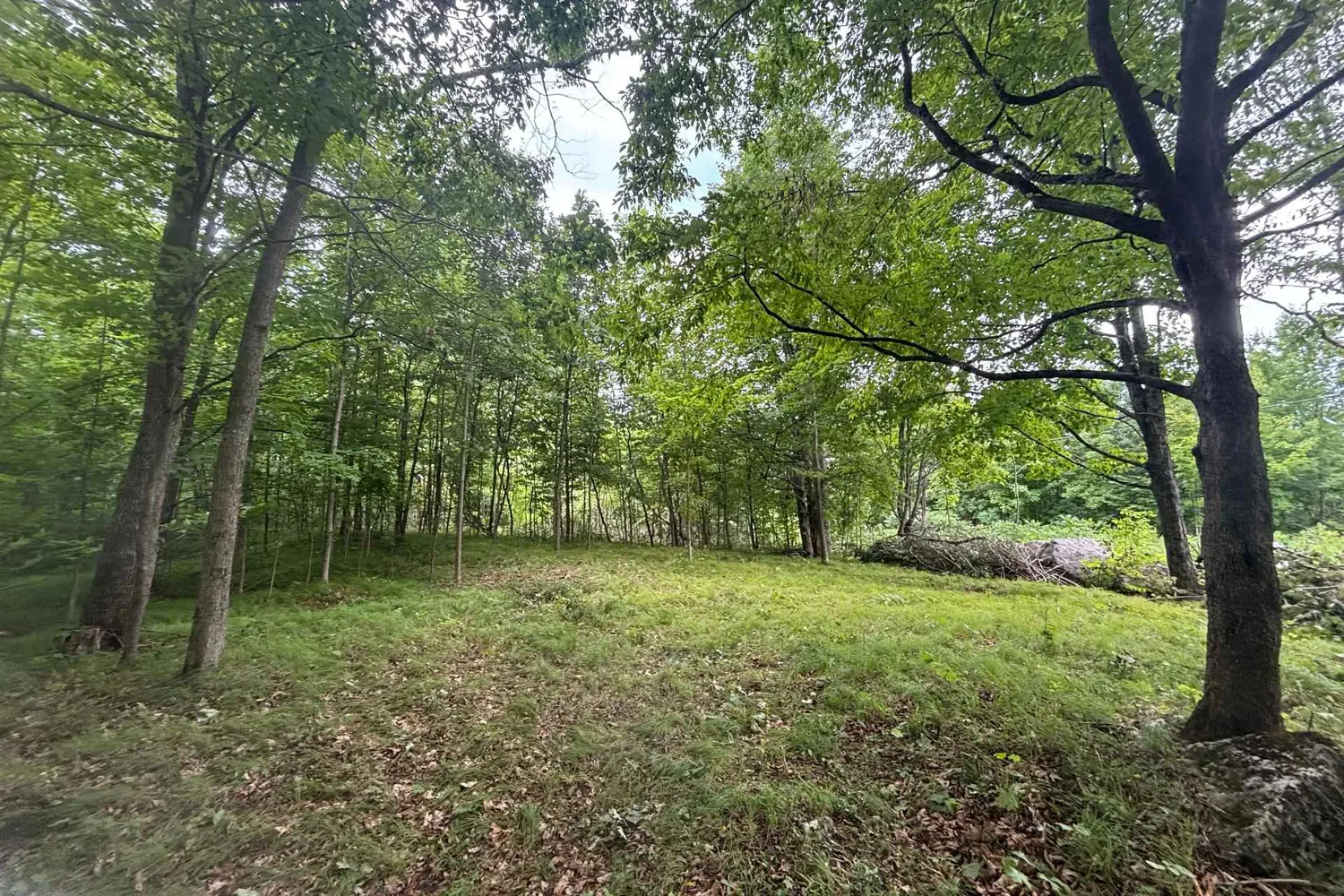 Additional image 5 of 554 Pigden Road Severed B