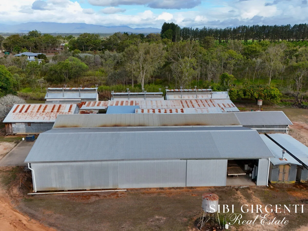 Additional image 12 of 44 Carman Road, Paddys Green QLD 4880