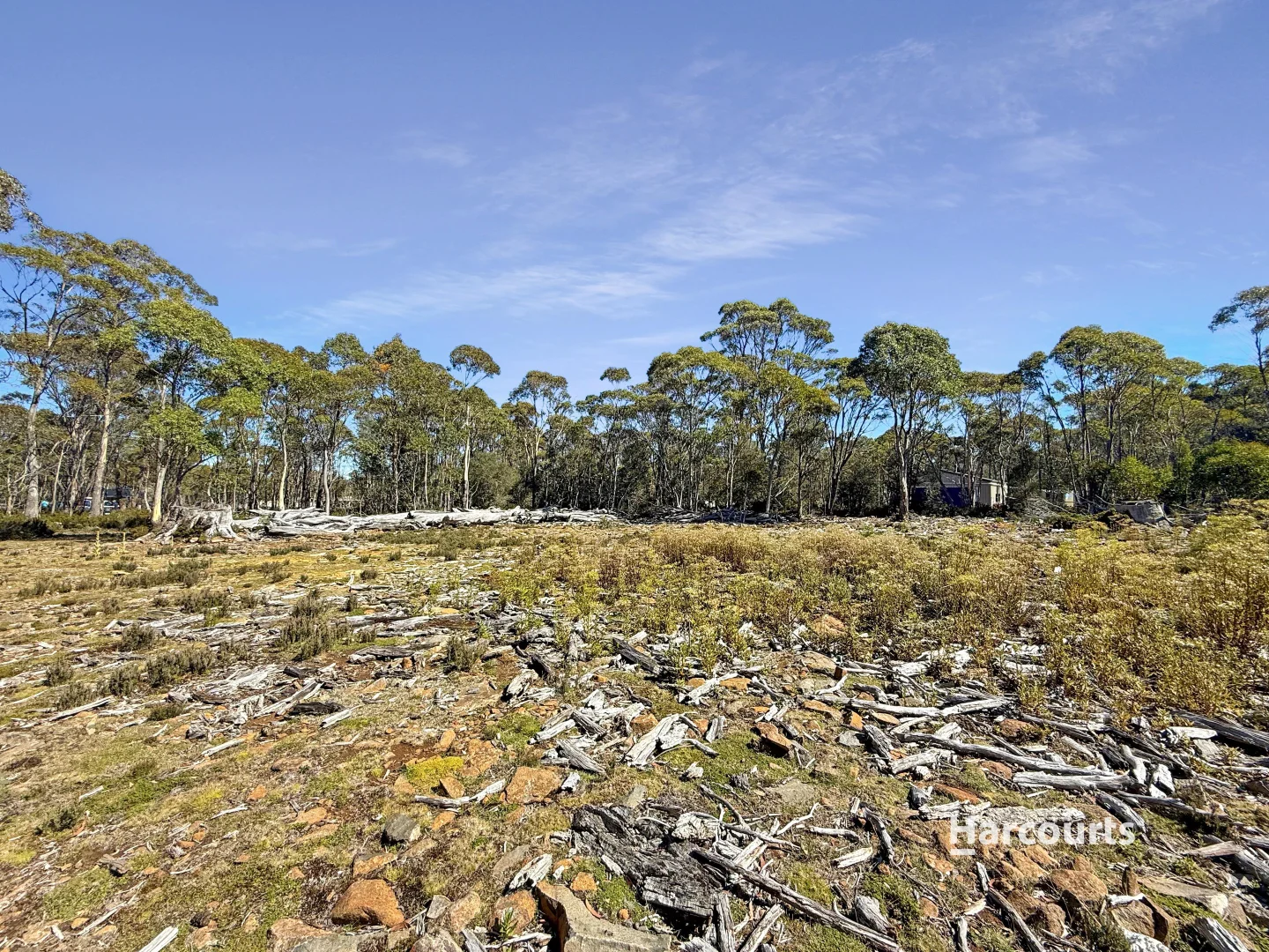 Additional image 4 of 711 Arthurs Lake Road, Arthurs Lake TAS 7030