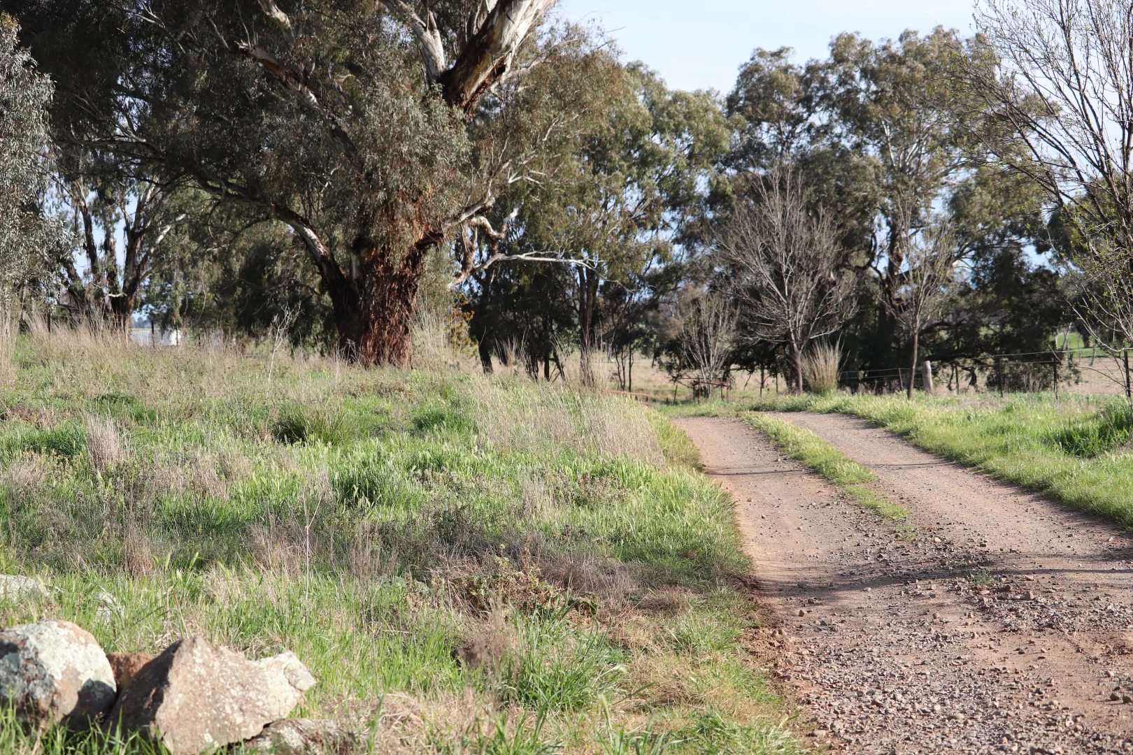 Additional image 24 of 2350 George Russell Drive, Canowindra NSW 2804