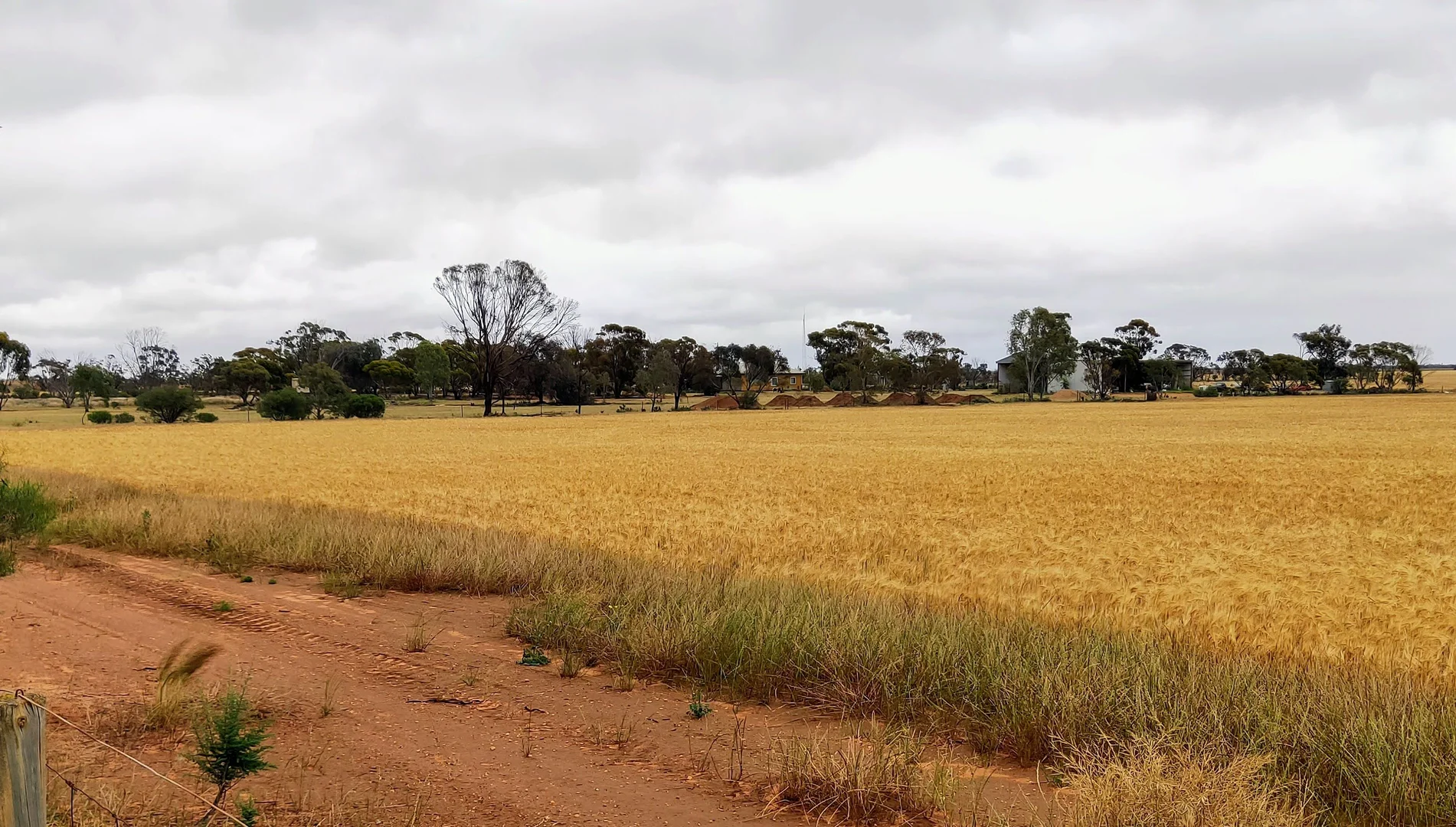 Additional image 31 of Chinkapook VIC 3546