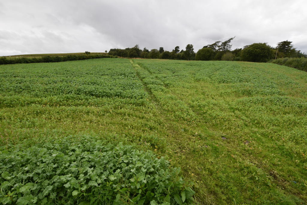 Site at Mill Of Towie, Keith