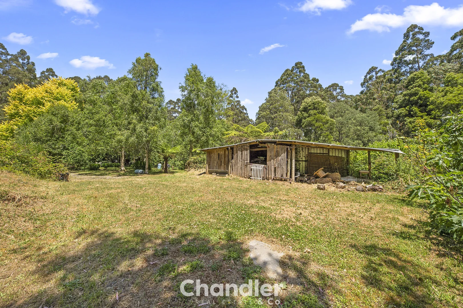 Additional image 23 of 19 Colehurst Crescent, Olinda VIC 3788