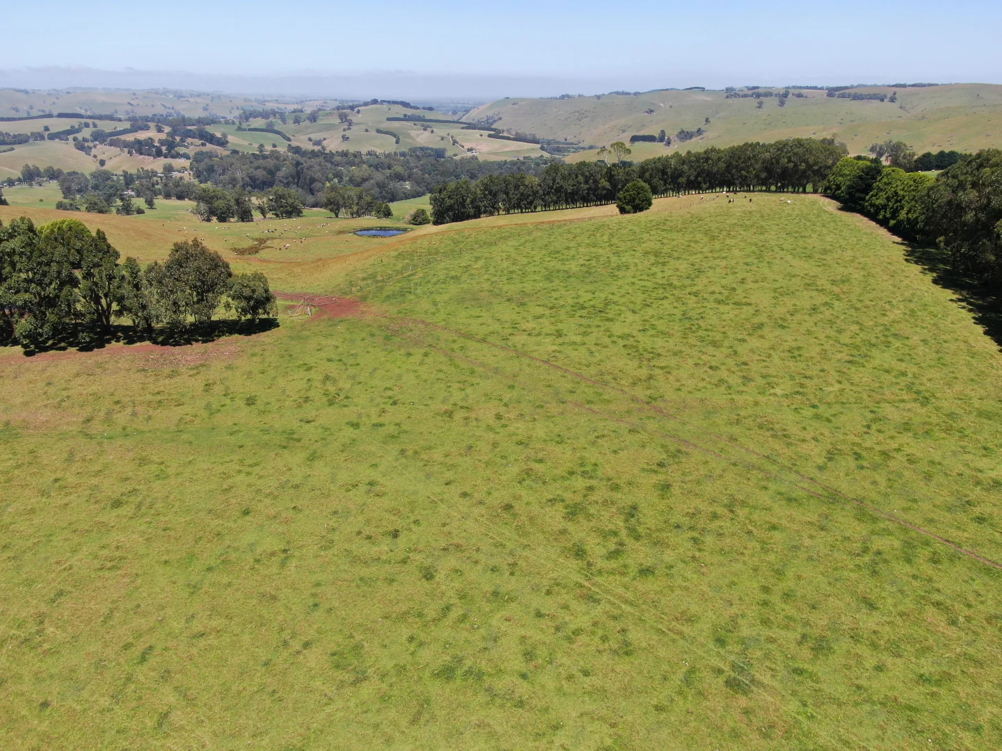 Additional image 6 of Lot 1/140 Clear Creek Valley Road, Mirboo North VIC 3871