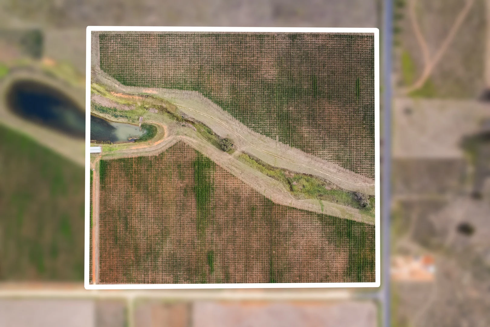 Additional image 9 of 46 Shiraz Drive, Gulgong NSW 2852