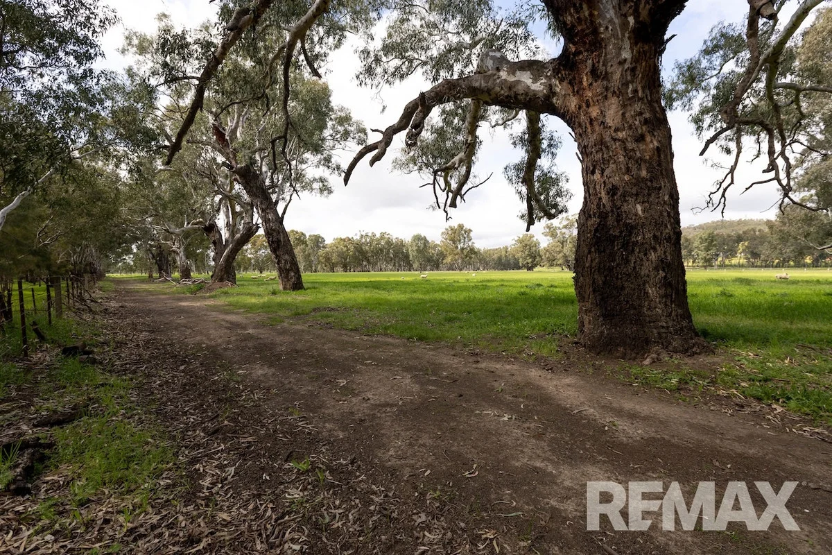 Additional image 20 of 192 Roach Road, Moorong NSW 2650