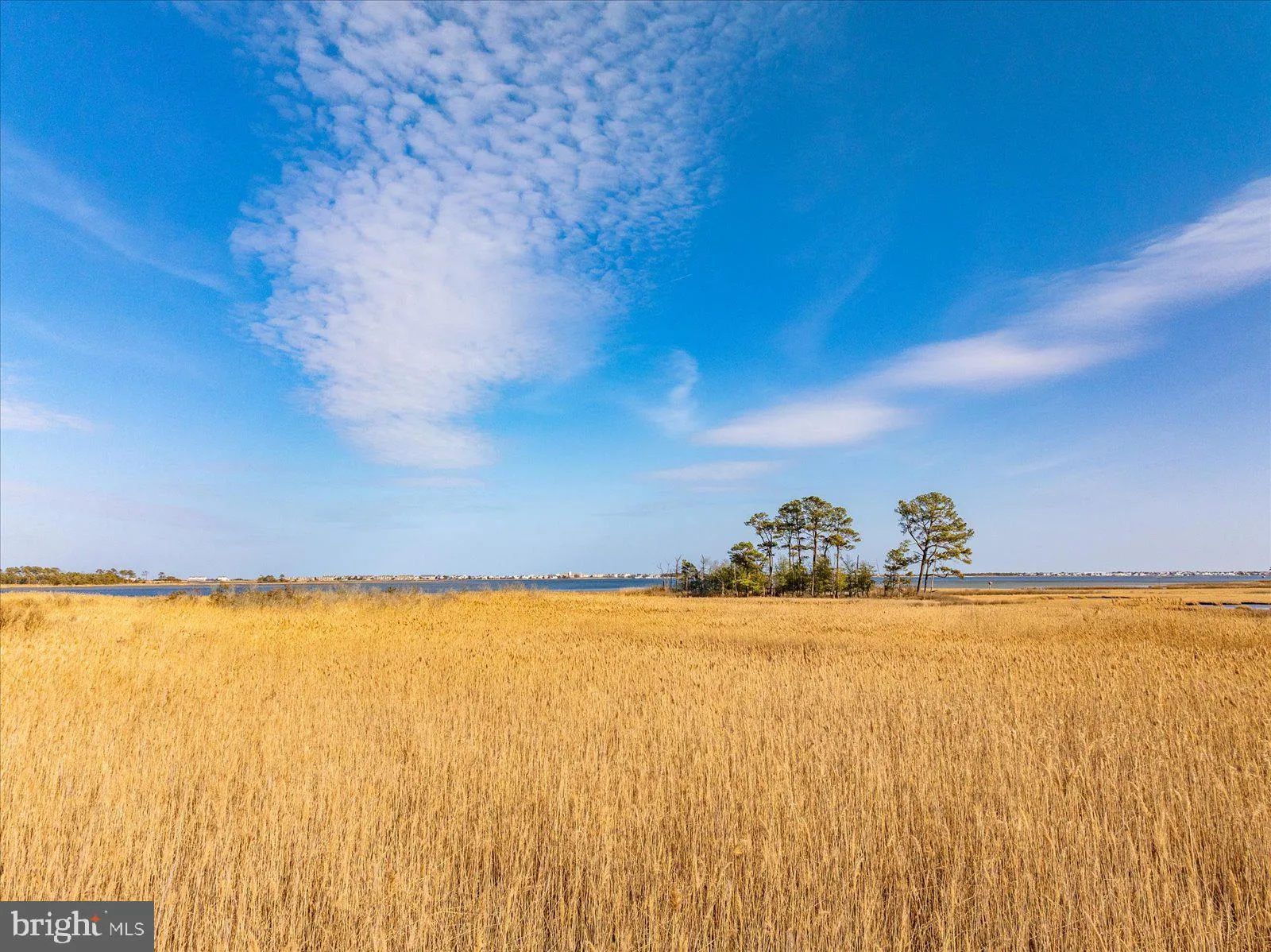 Additional image 194 of 38312 Ocean Vista Drive Unit 1082, Selbyville, DE 19975