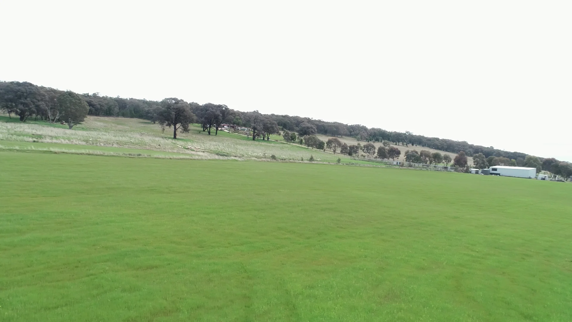 Additional image 3 of 823 Peabody Road, Molong NSW 2866