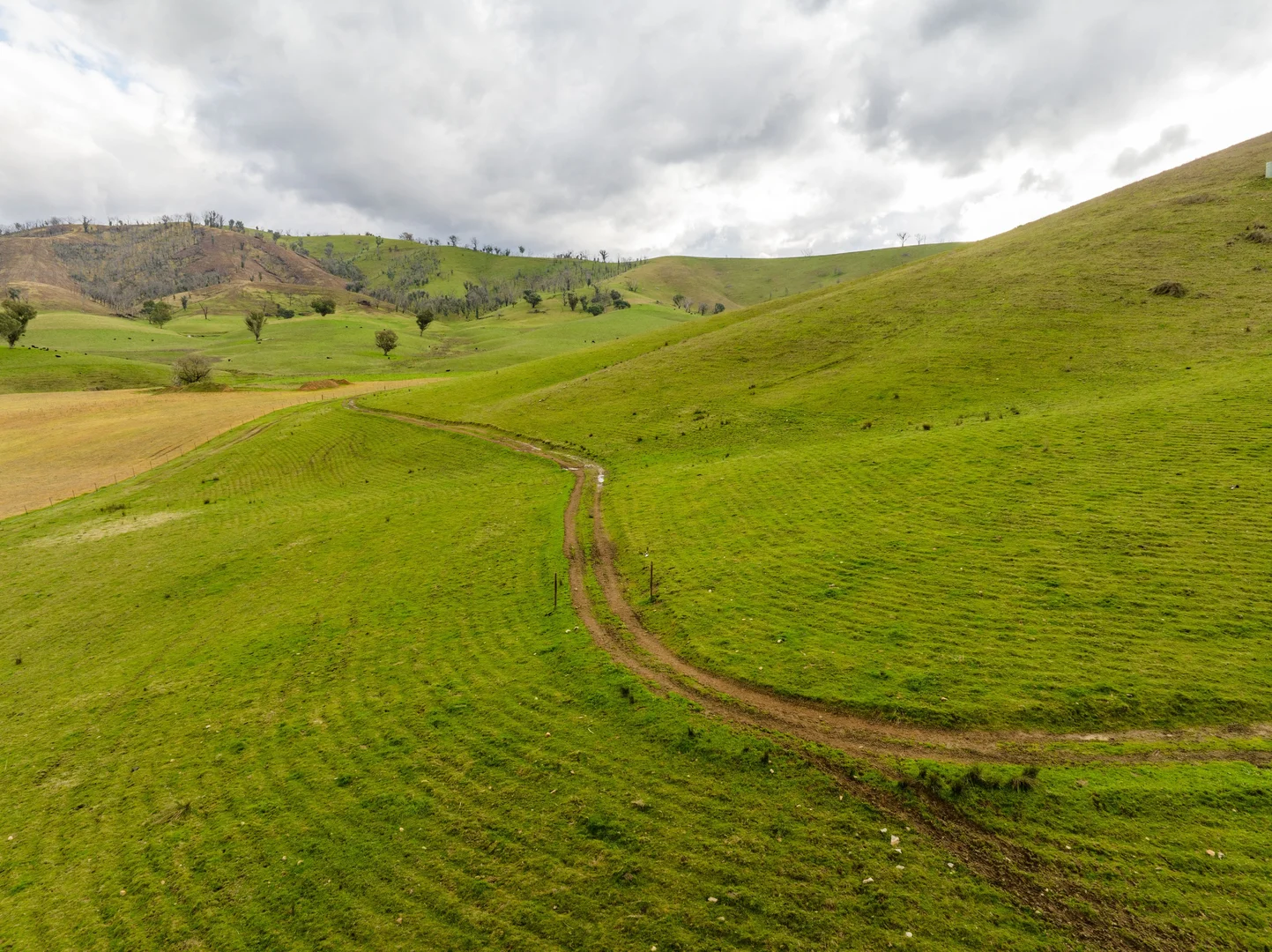 Additional image 17 of 'Rockview' 400 Horse Creek Road, Jingellic NSW 2642