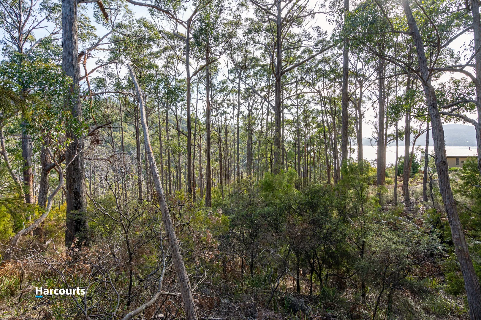 Additional image 22 of 44 Klasen Road, Police Point TAS 7116