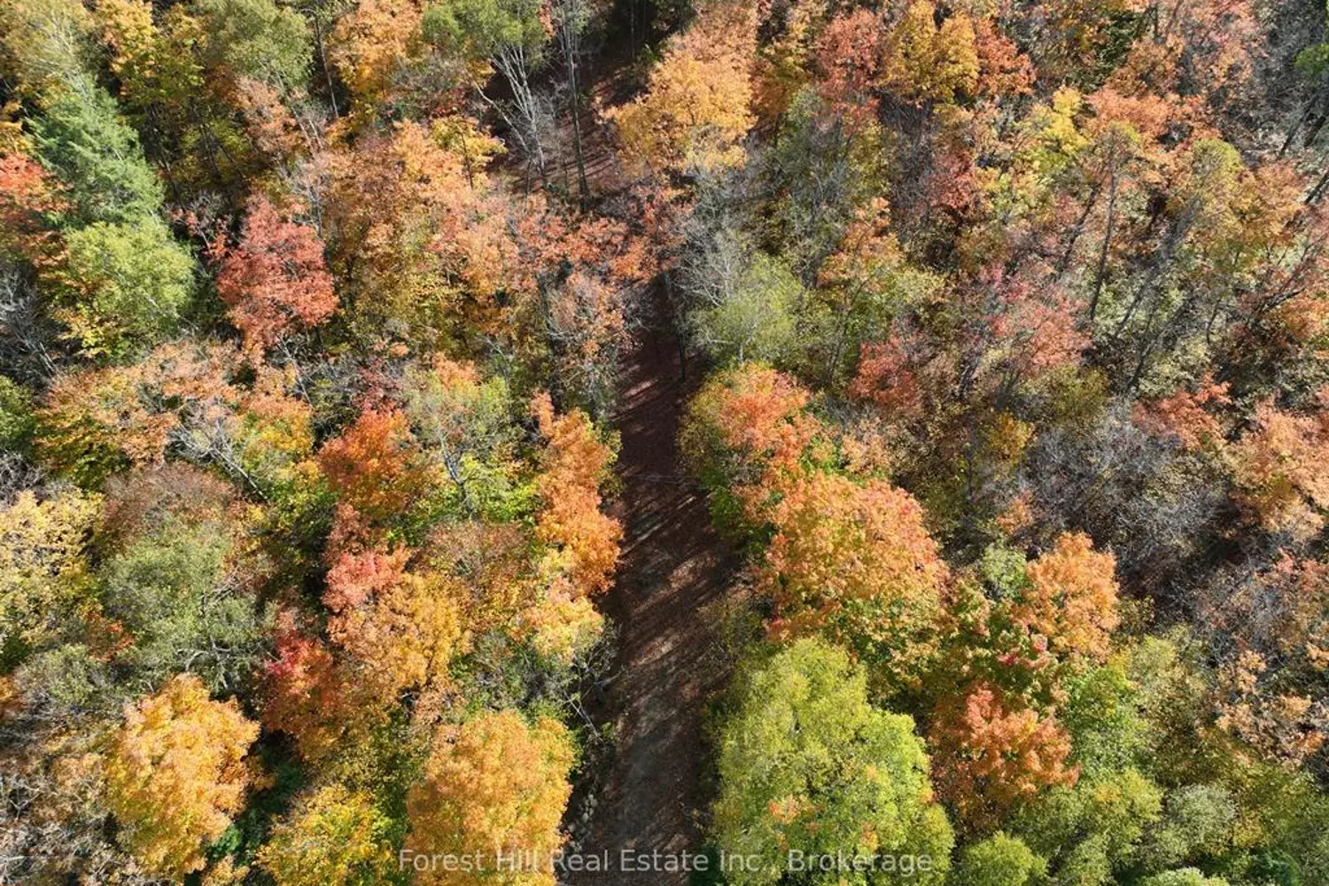 Additional image 16 of 4488 Kawagama Lake Road