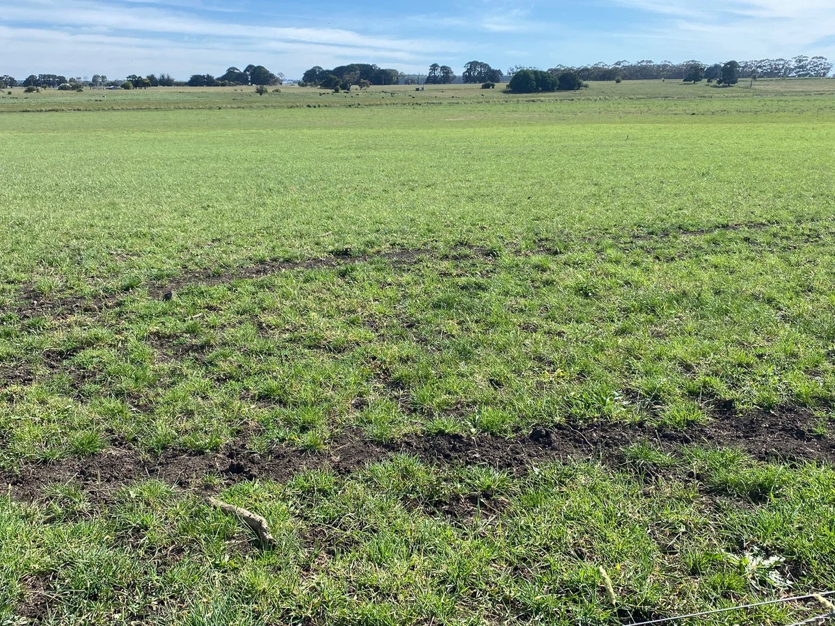 Additional image 7 of Jaffrays Road, Wallacedale VIC 3303