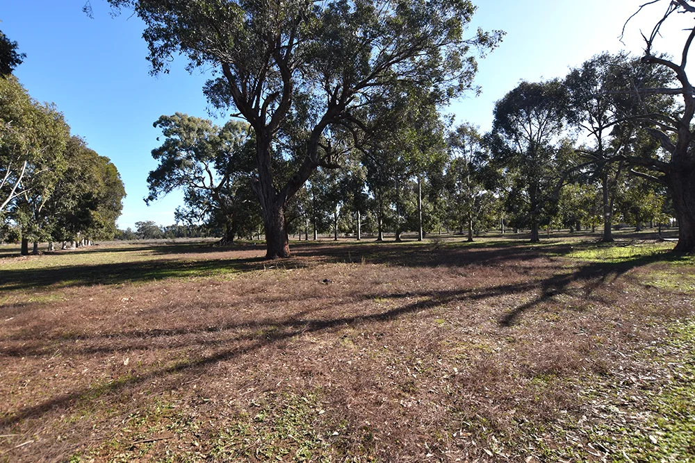 Additional image 21 of 2418 Henderson Road, Girgarre VIC 3624