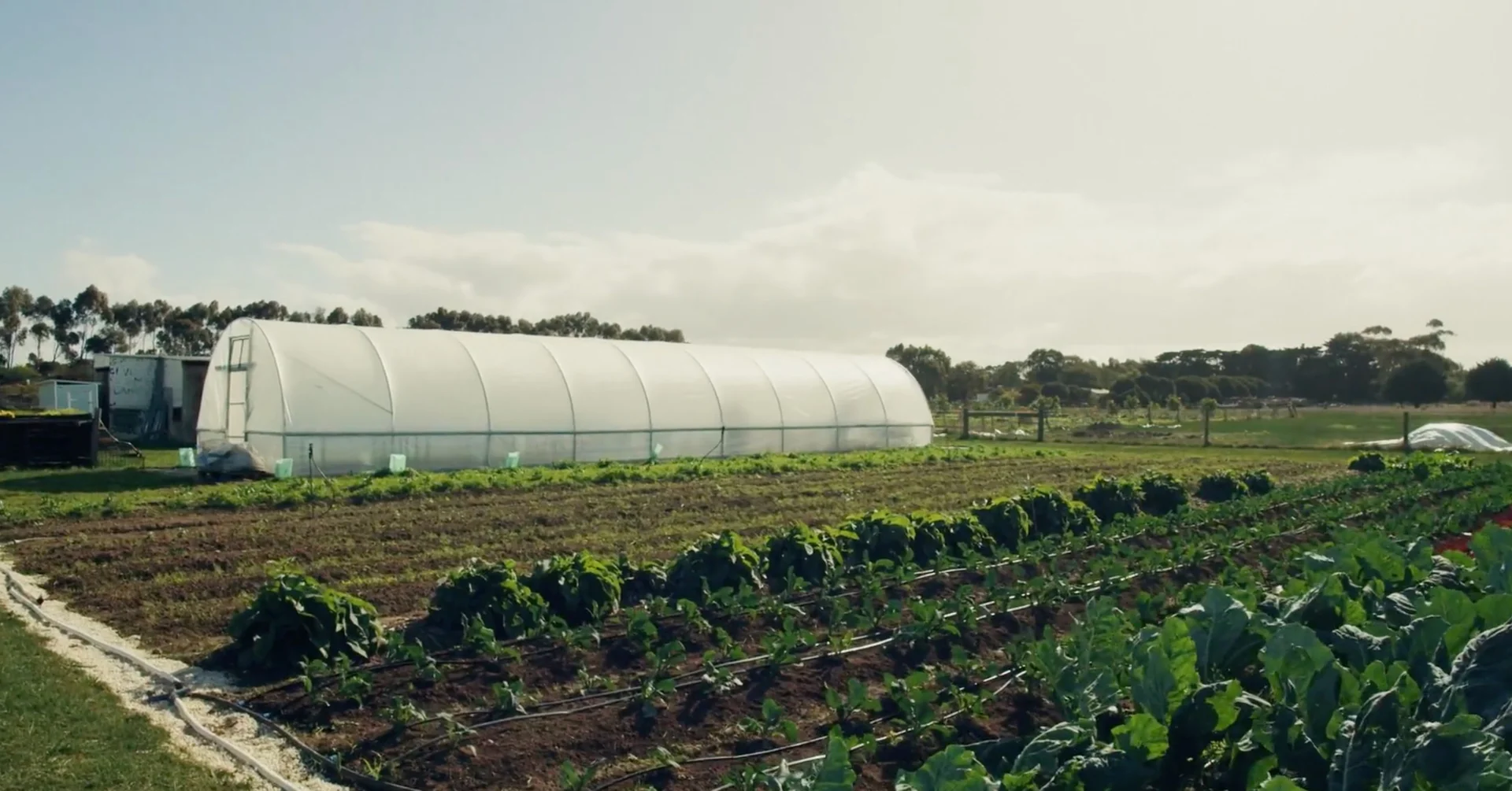 Additional image 3 of 675 Anglesea Road, Freshwater Creek VIC 3217