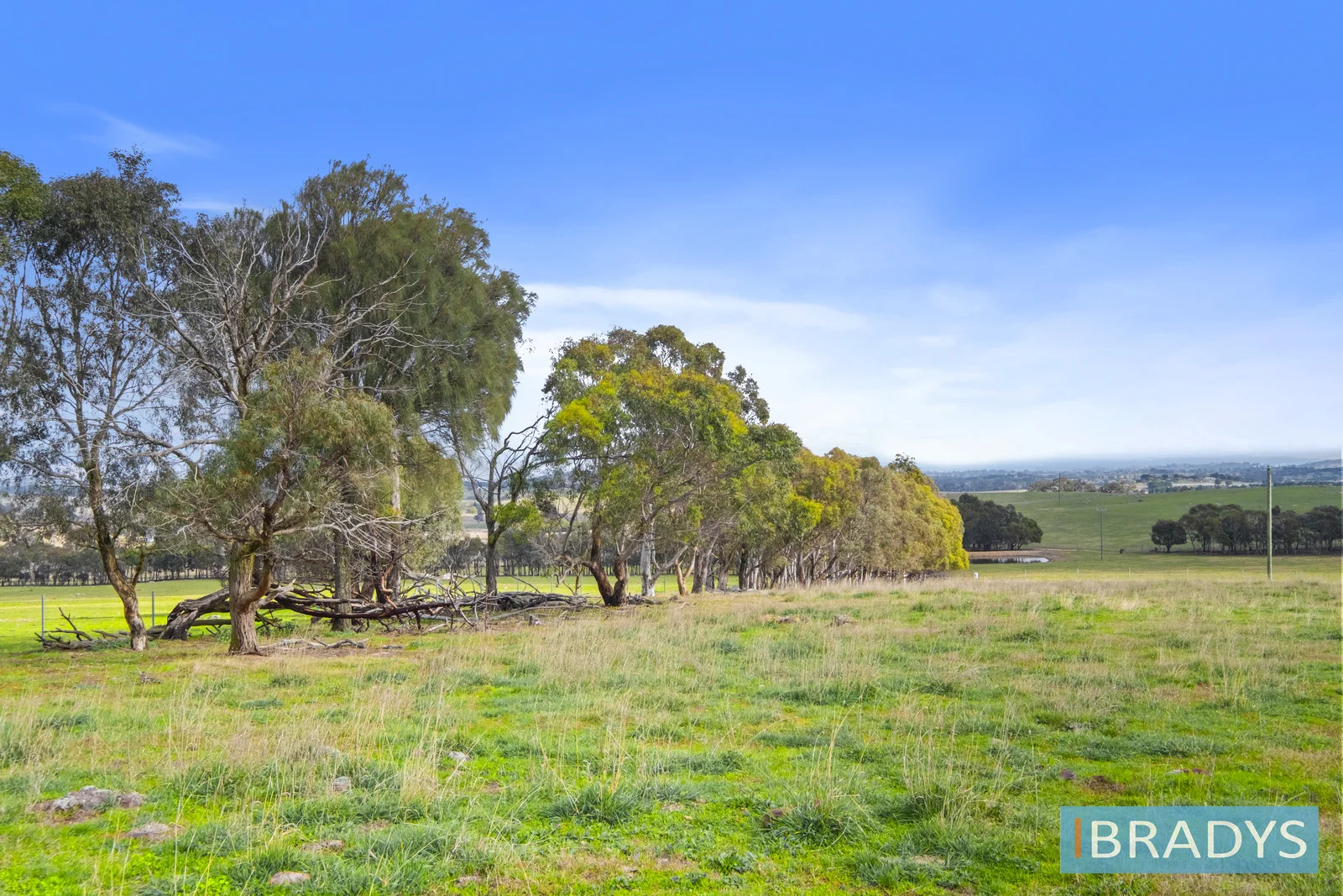 Additional image 7 of 1/311 Bushs Lane, Nanima NSW 2582