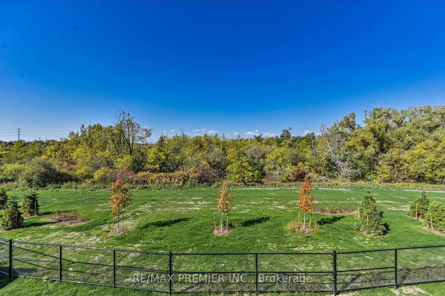 Additional image 17 of 39 Hickey Lane