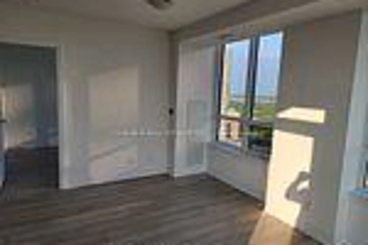 36 Elm Drive 2607 photo 4