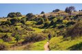 Additional image 30 of 350 Robin Dr, Corte Madera, CA, 94925