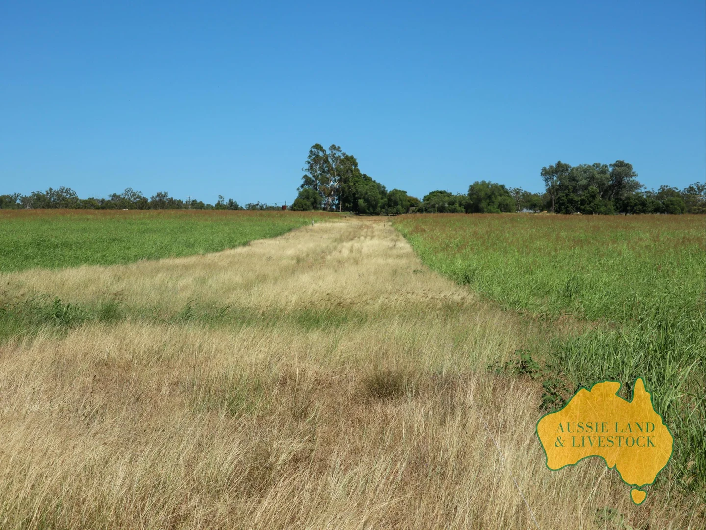 Additional image 85 of 629 Stuart Valley Drive, Haly Creek QLD 4610