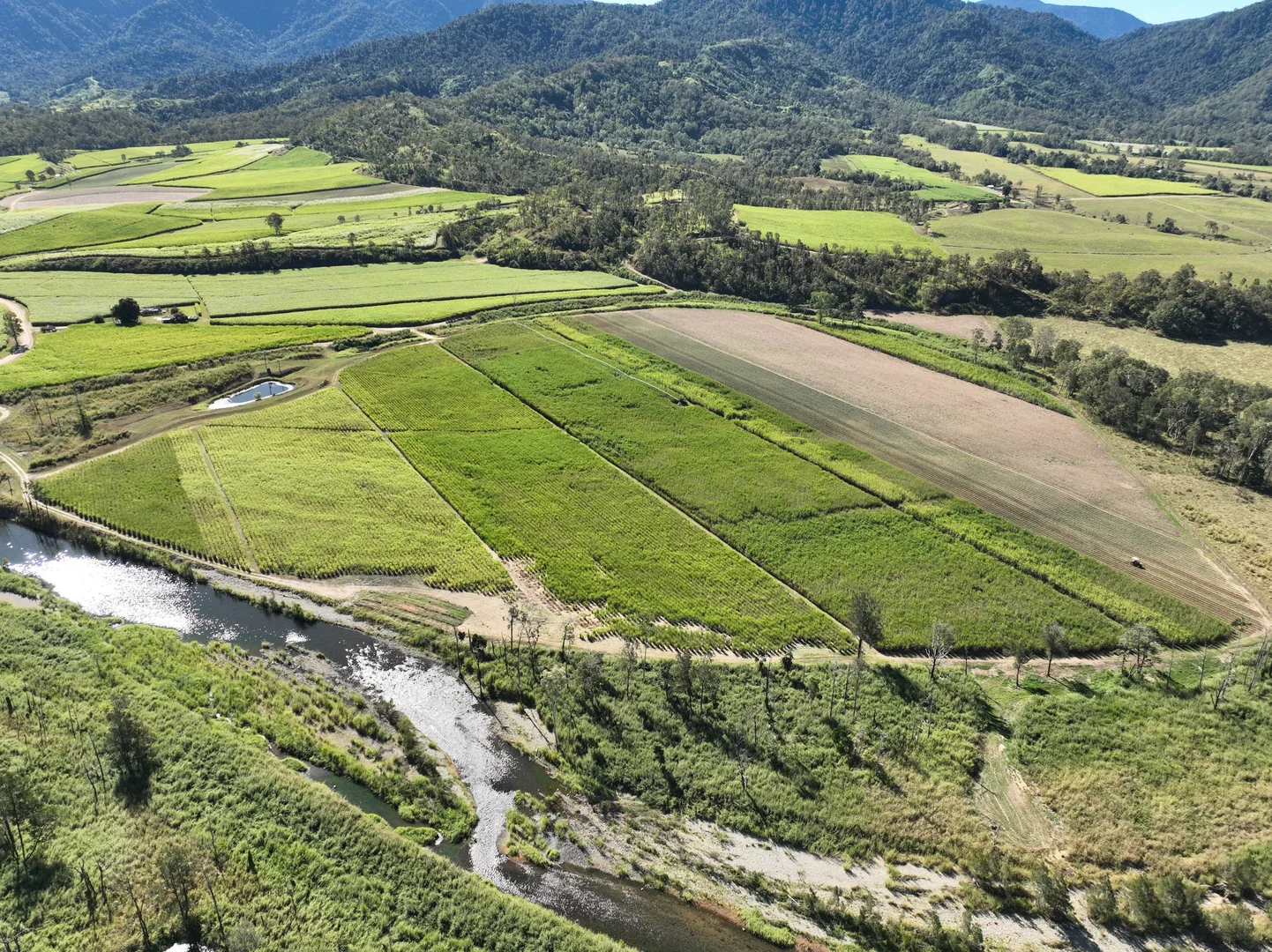 Additional image 9 of Finch Hatton QLD 4756