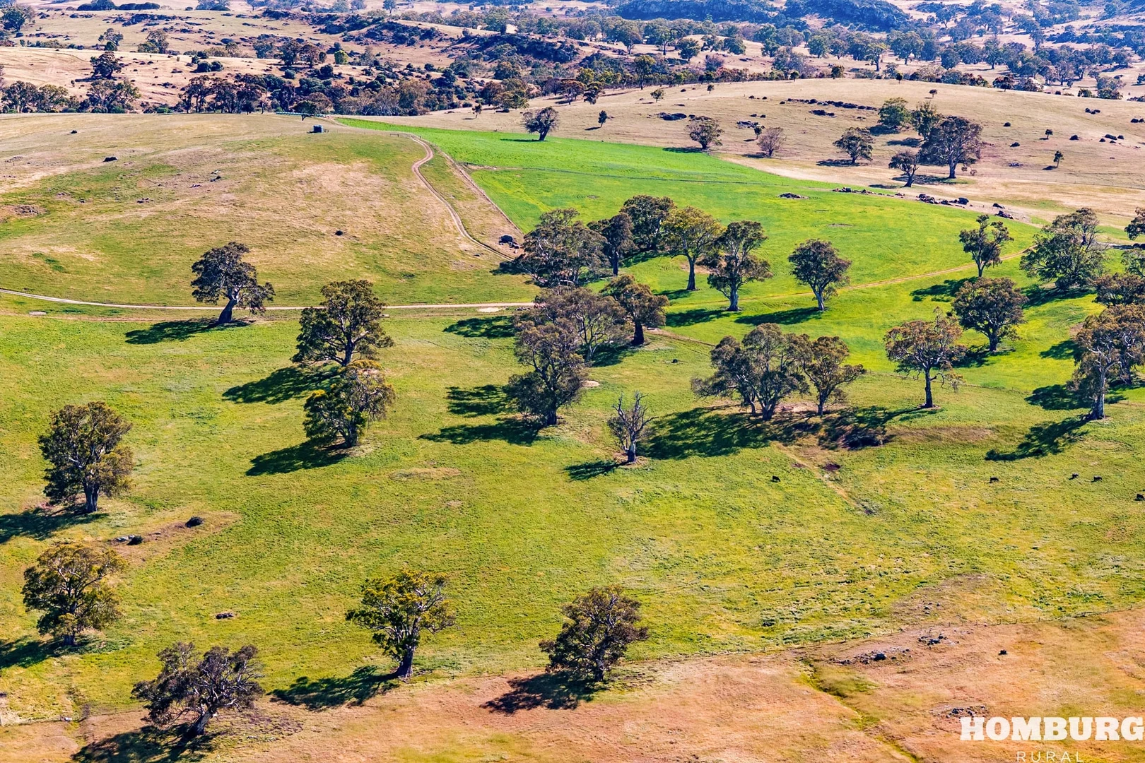 Additional image 10 of Section 143 Kempe Road, Eden Valley SA 5235