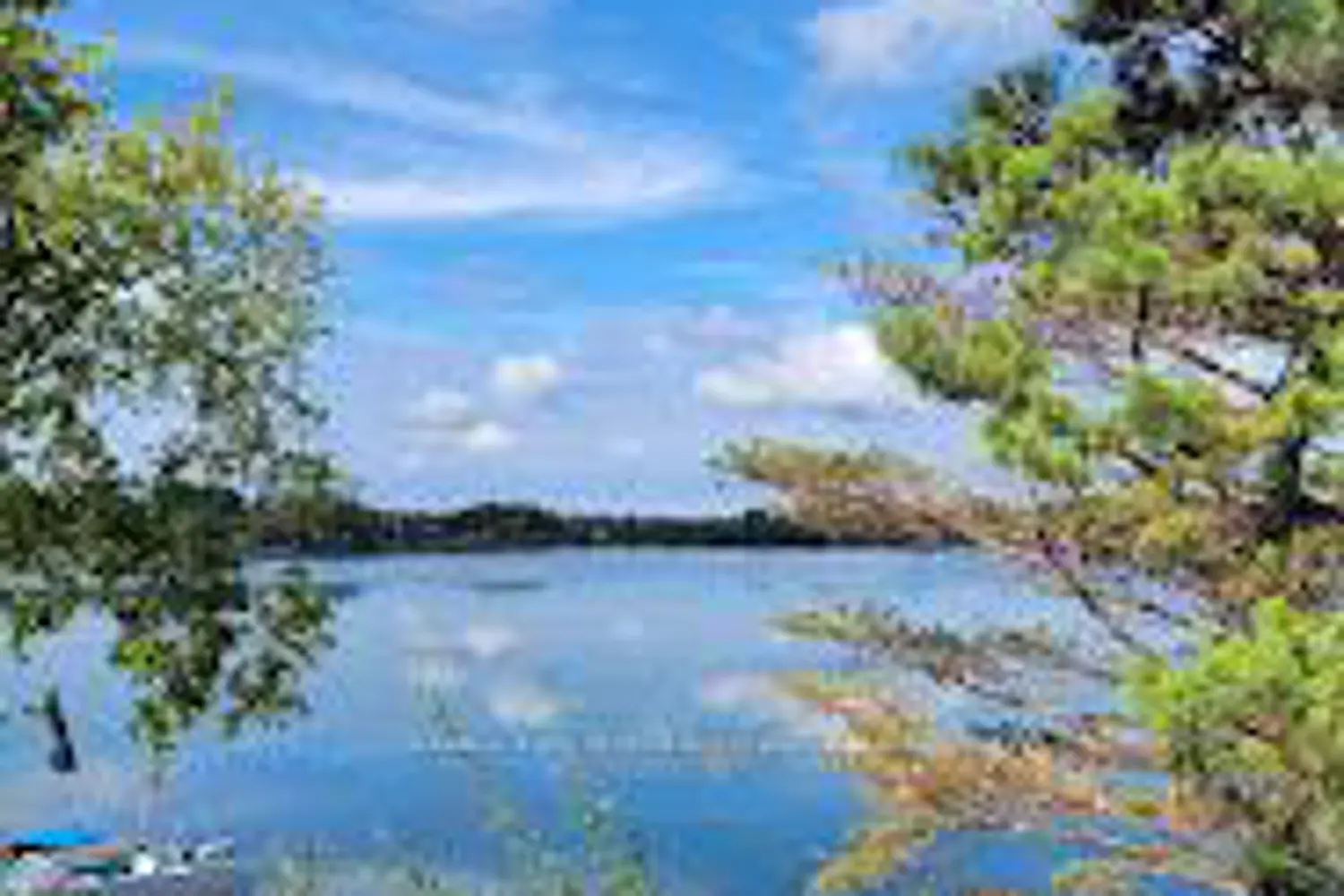 Additional image 14 of 12 Churchill Drive