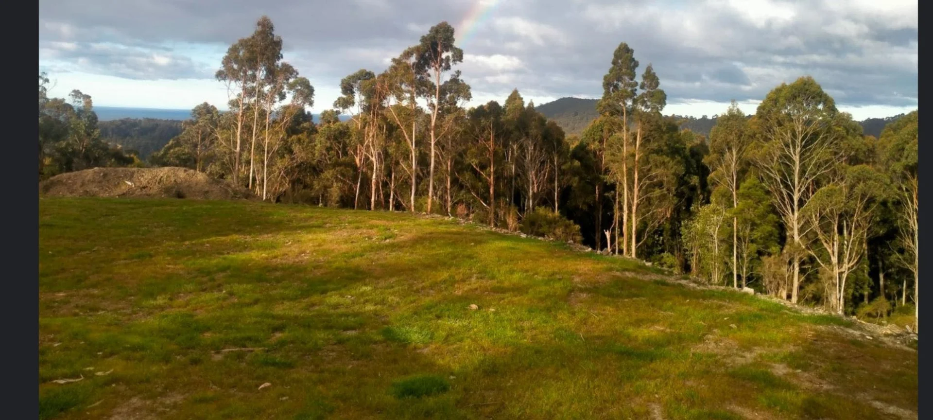 Somerset TAS 7322 photo 2