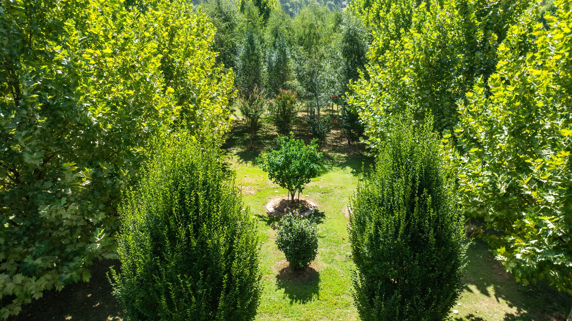 Additional image 11 of 217a Simmonds Creek Road, Tawonga South VIC 3698