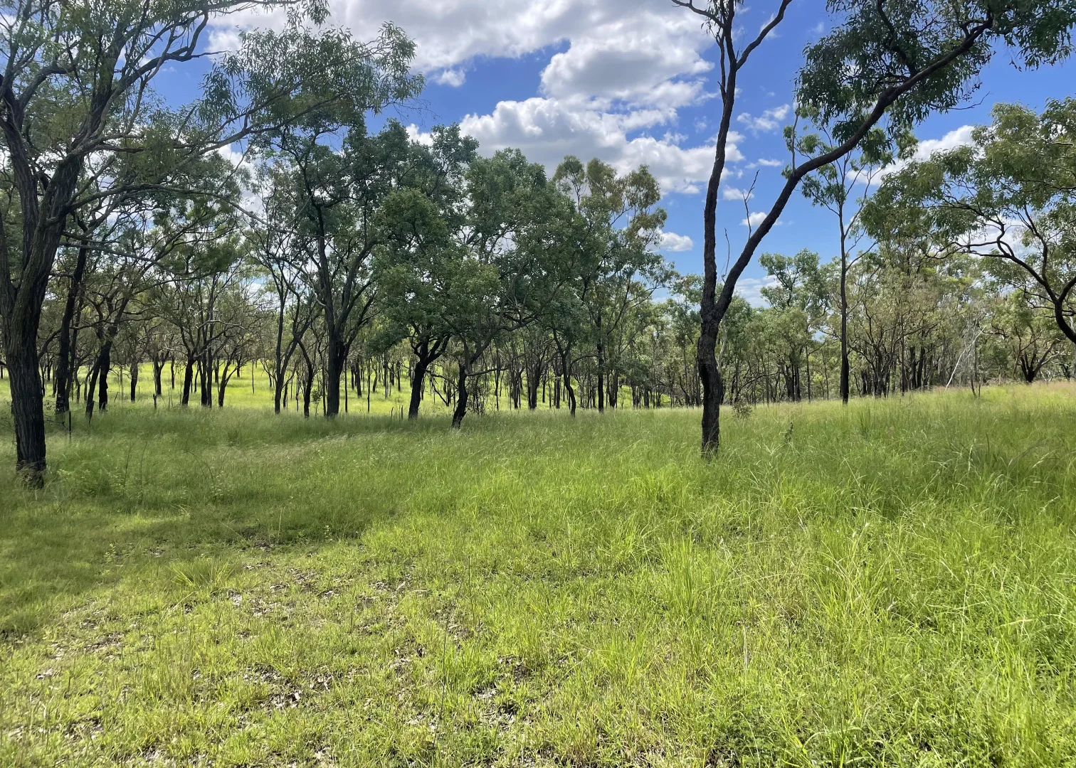Additional image 7 of L52 Campbell Creek Road, Campbell Creek, Gayndah QLD 4625