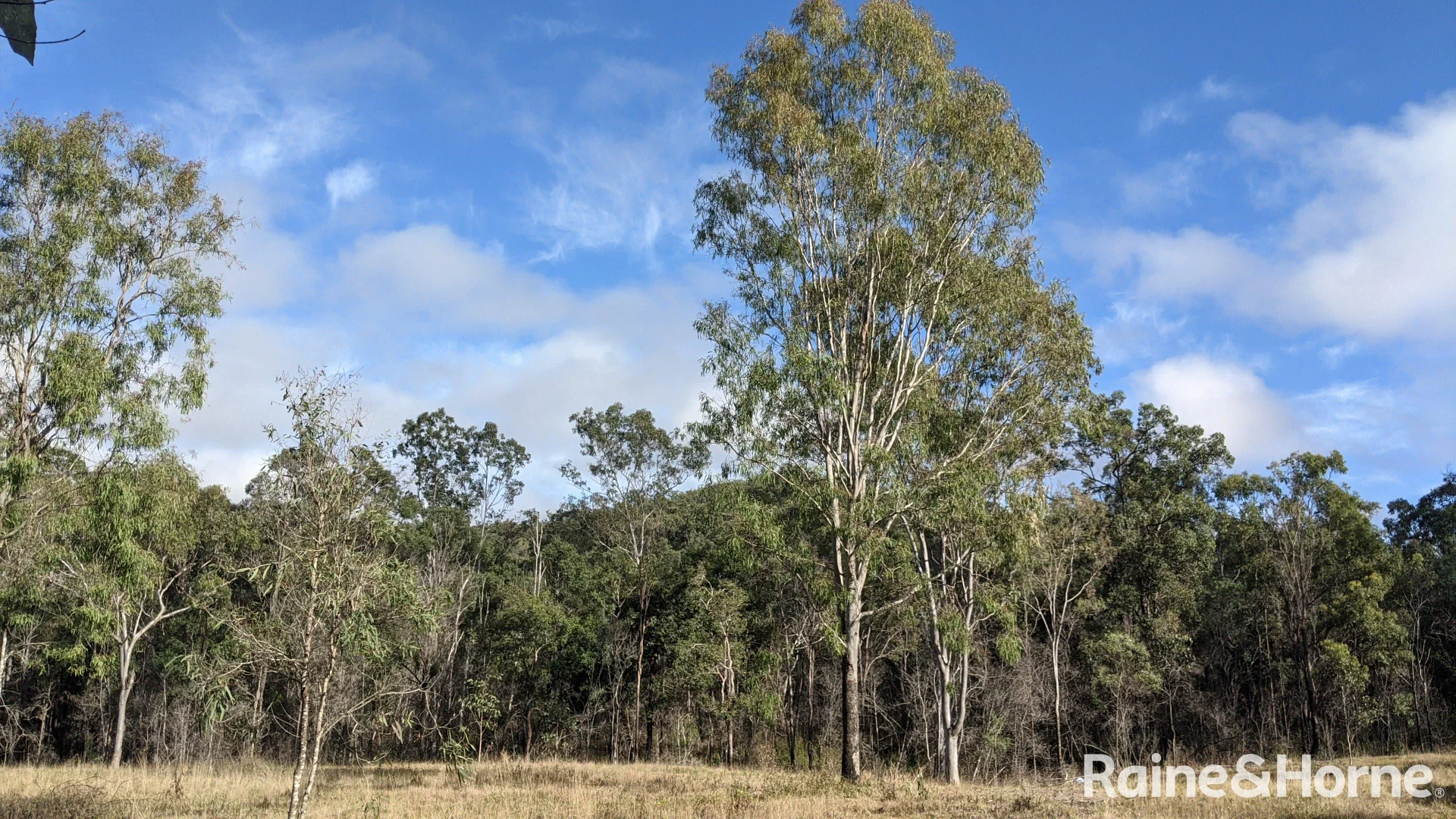 Additional image 23 of Lot 38 Tenningering Road, Good Night QLD 4671