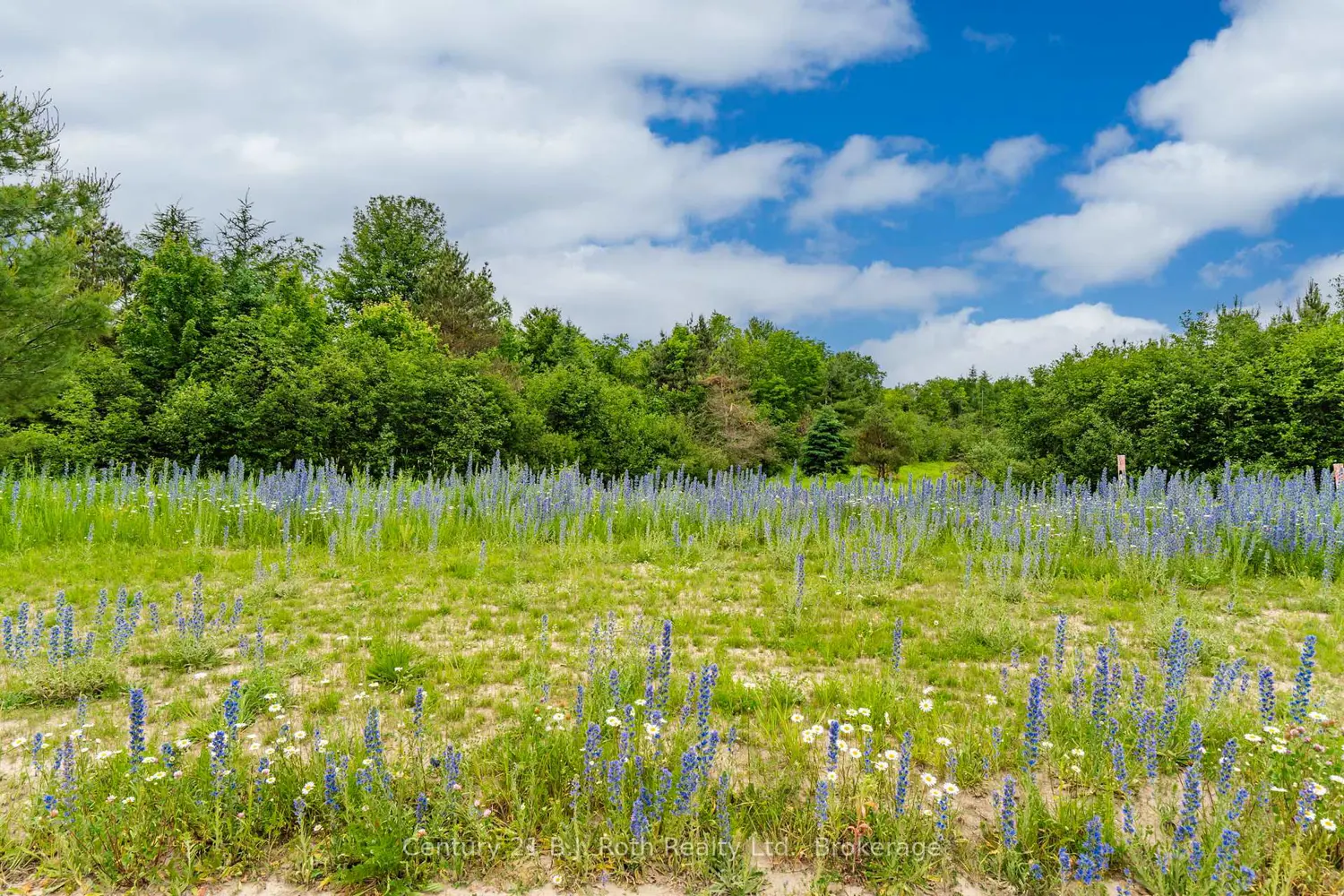Additional image 6 of 13 Greenlaw Court