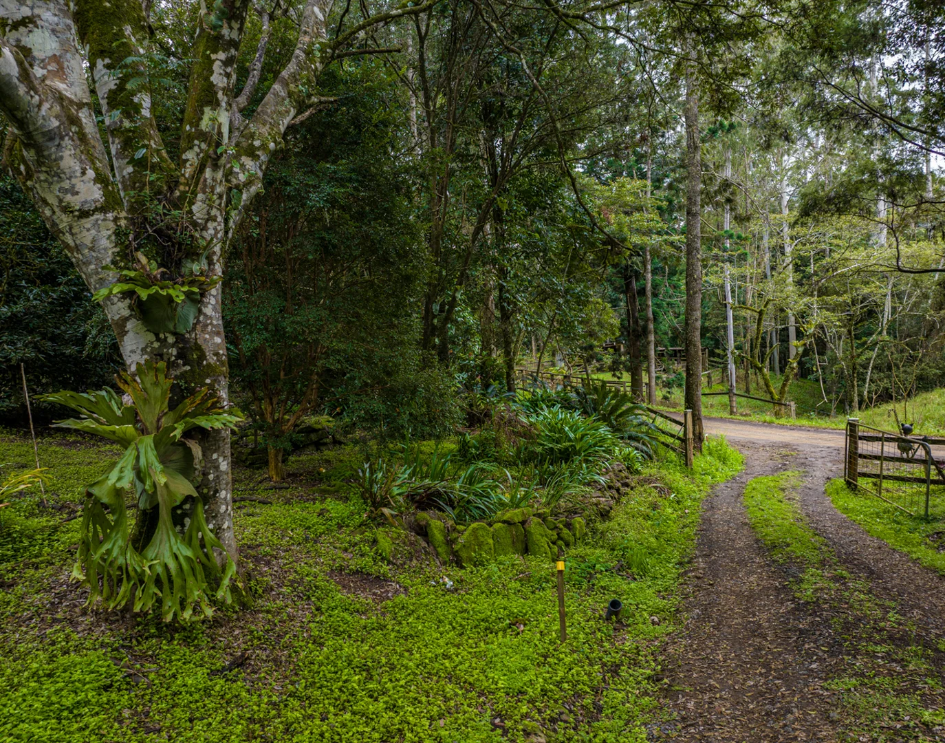 Additional image 38 of 574 Horseshoe Creek Road, Upper Horseshoe Creek NSW 2474
