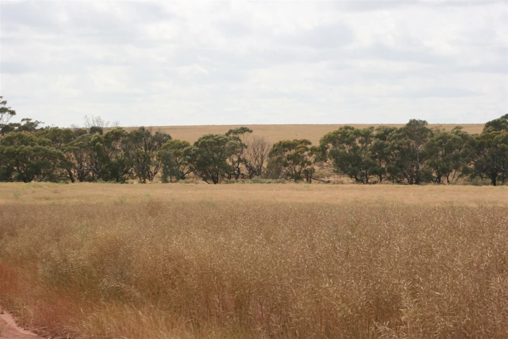 Additional image 5 of . Madews, Jennacubbine WA 6401