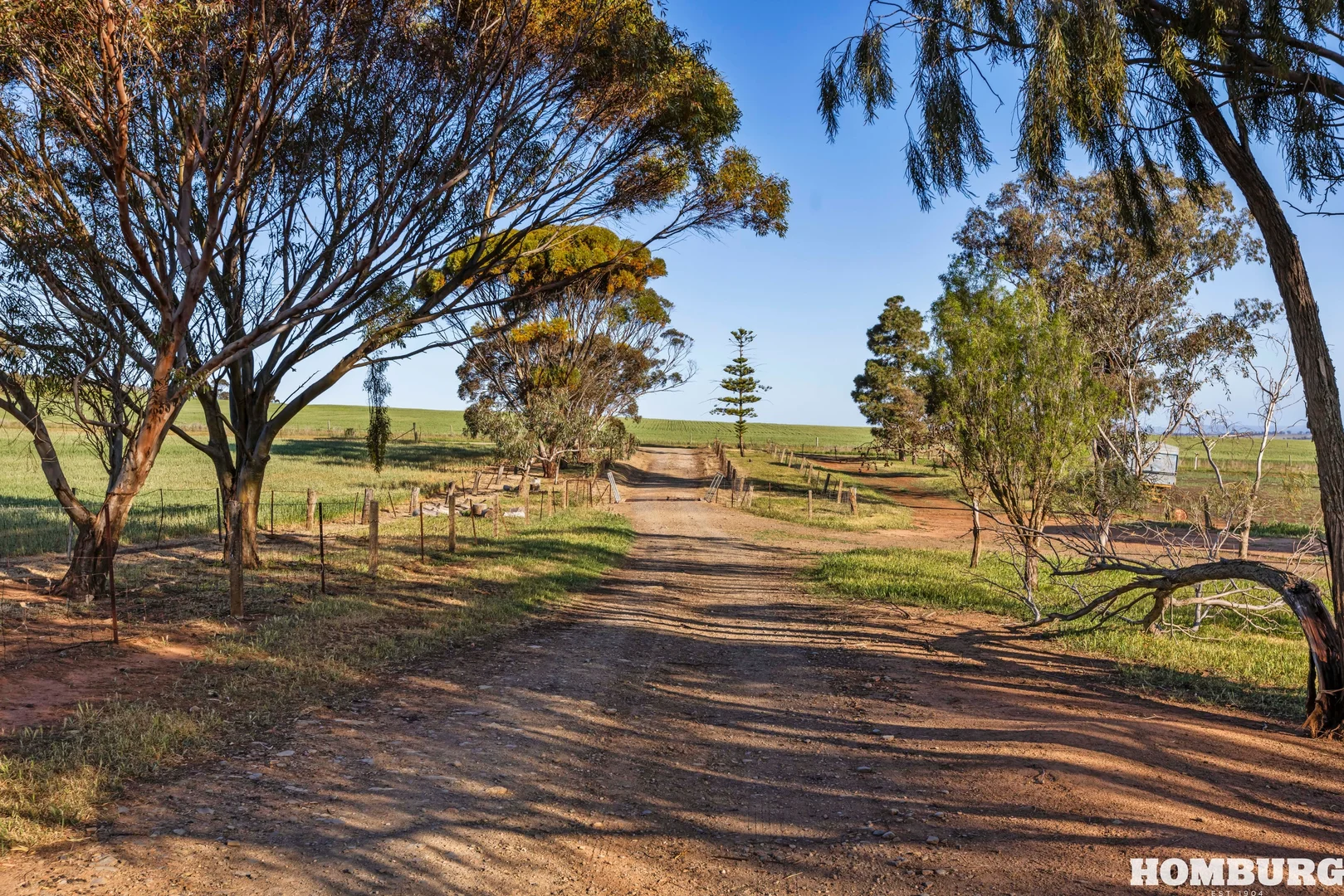 Additional image 22 of 275 Peltz Road, Bethel SA 5373