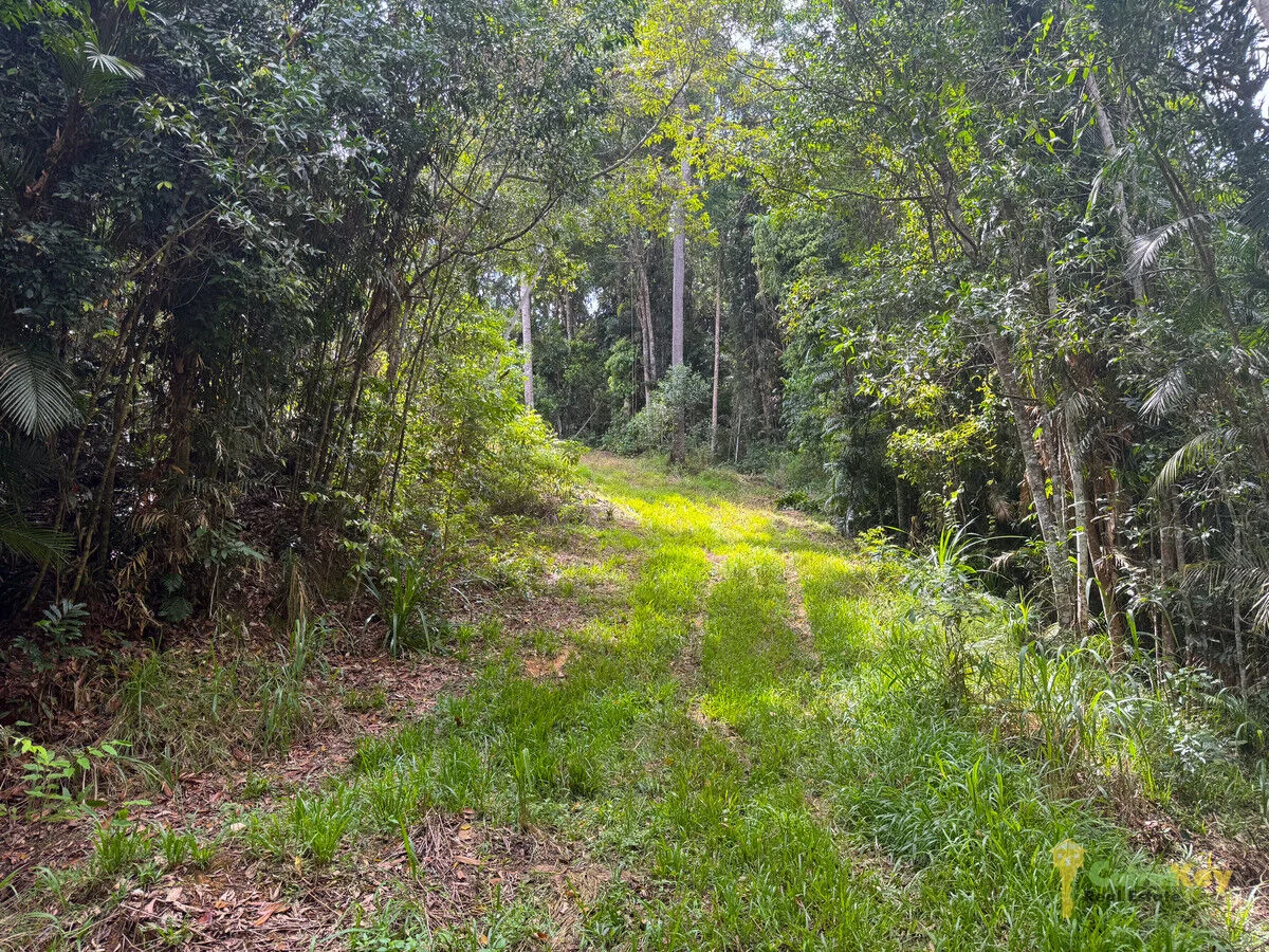 Additional image 11 of Contact Agent, Kuranda QLD 4881