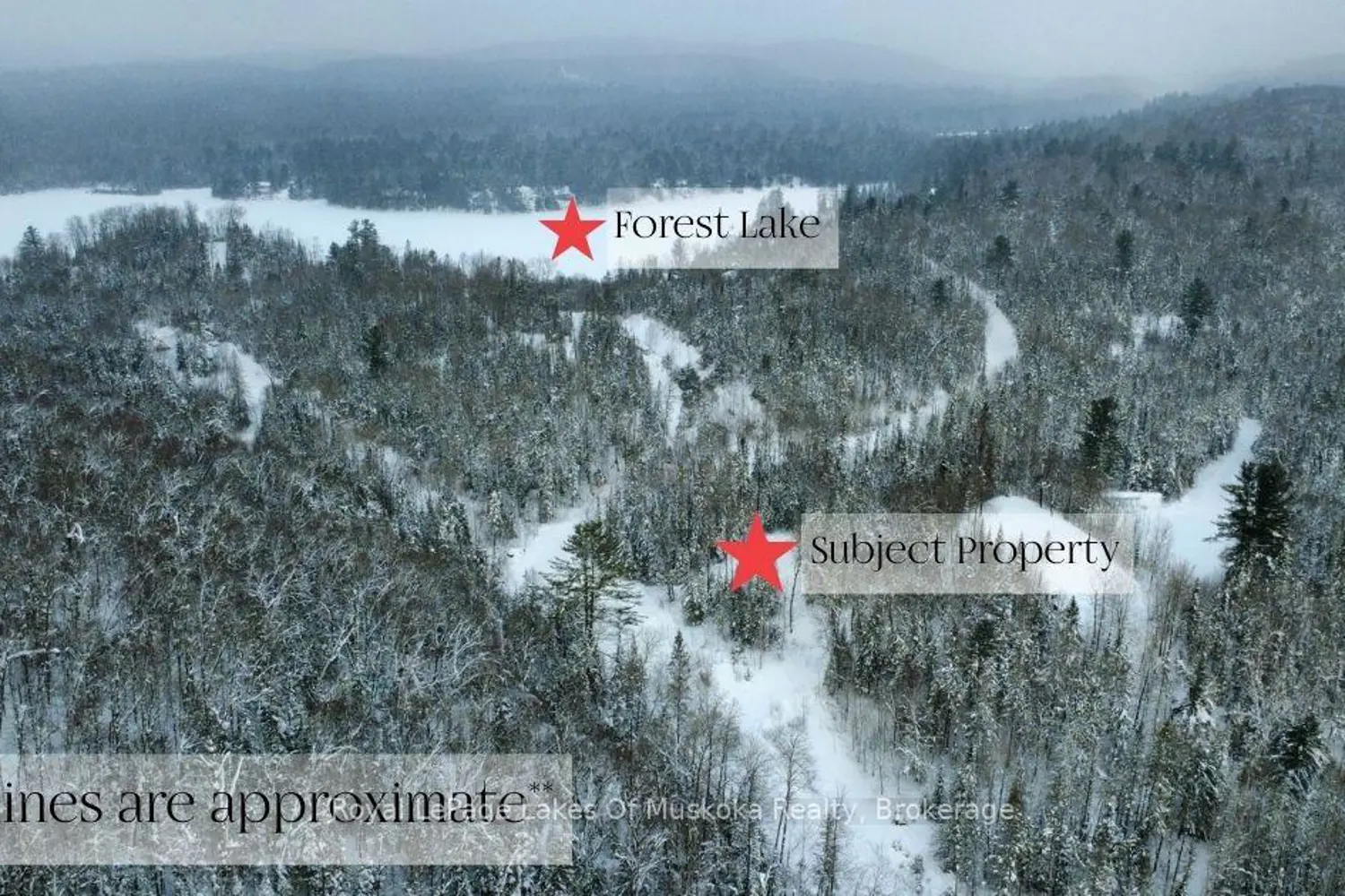 0 Forest Lake Road photo 2