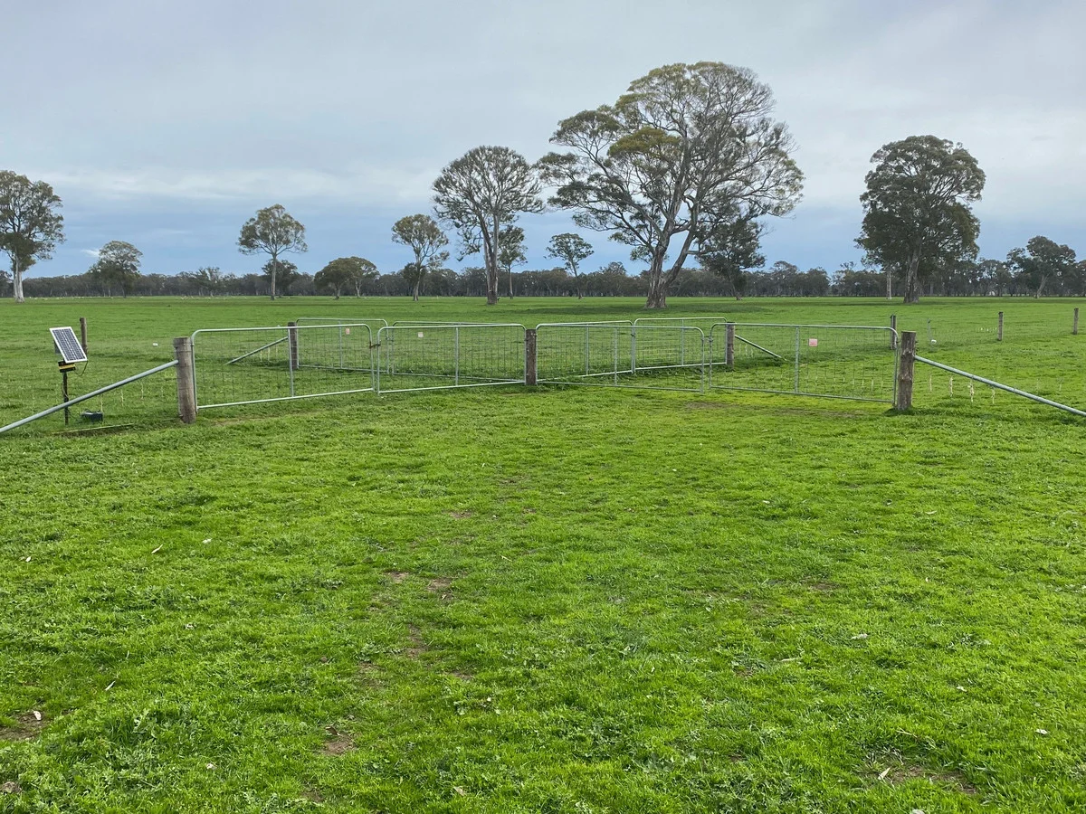 Additional image 17 of 813 Yarramyljup Road, Rocklands VIC 3401