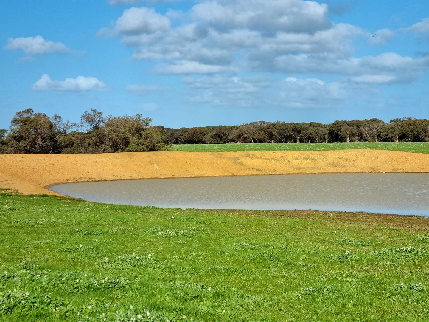 Additional image 21 of 958 Crabbs Road, Newland SA 5223