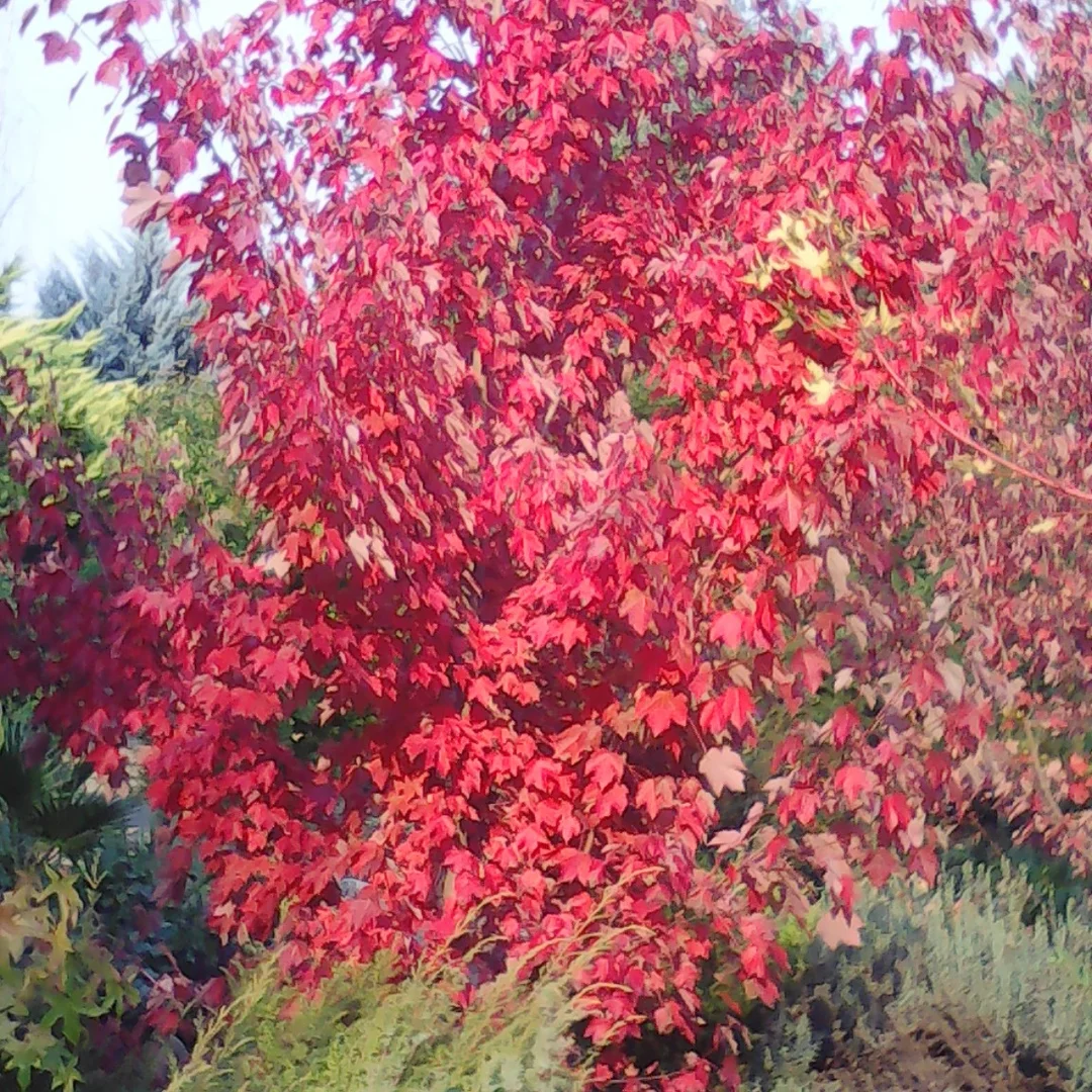 Additional image 8 of 18 Wonthaggi Crescent, San Remo VIC 3925