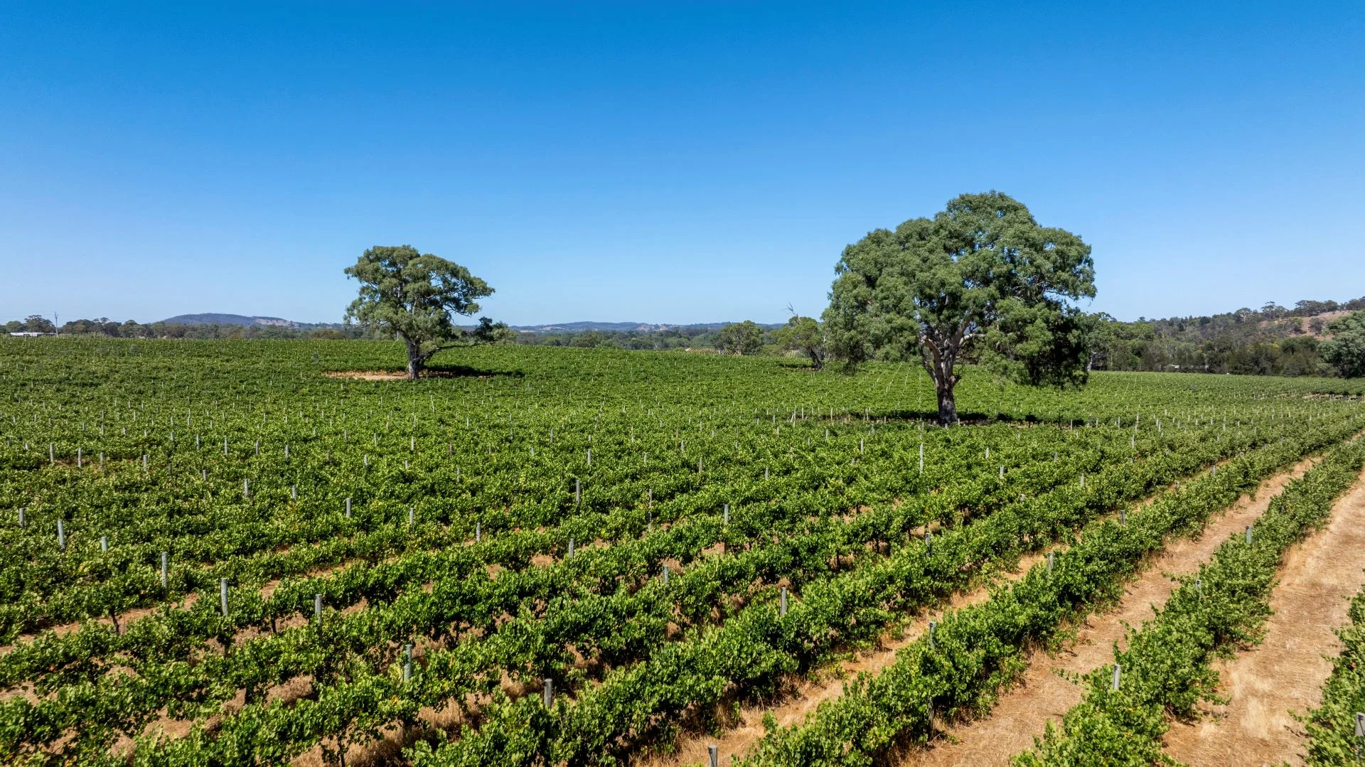 Additional image 8 of 1282 Torrens Valley Road, Birdwood SA 5234