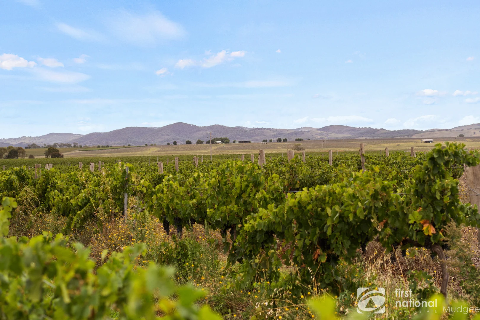 Additional image 6 of 70 Shiraz Drive, Gulgong NSW 2852