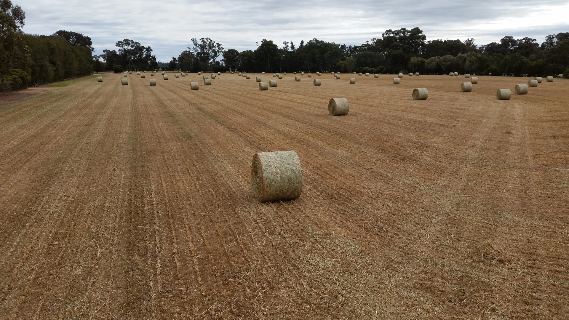 Additional image 16 of 140 Waggarandall Road, Yundool VIC 3727