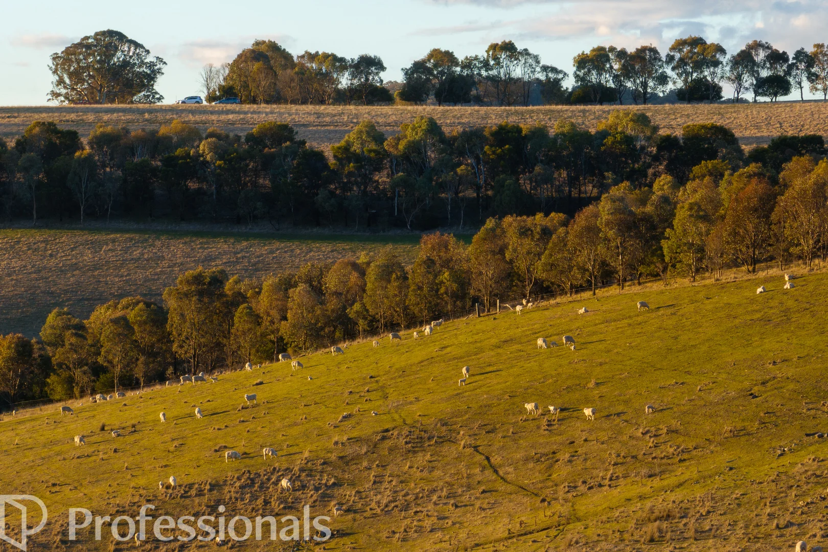 Additional image 14 of 174 Emu Swamp Road, Orange NSW 2800