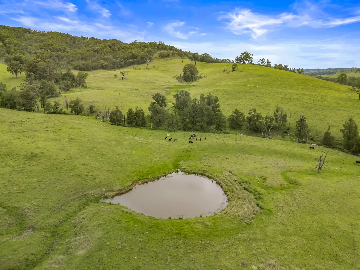 Additional image 14 of Carrowbrook Road Mount Olive, Singleton NSW 2330