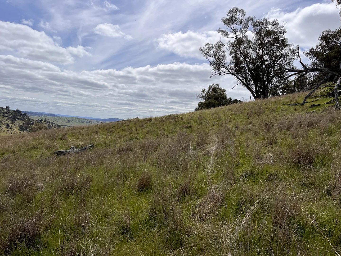 Additional image 8 of Lot 3 Tarrants Gap Road, Wyangala NSW 2808
