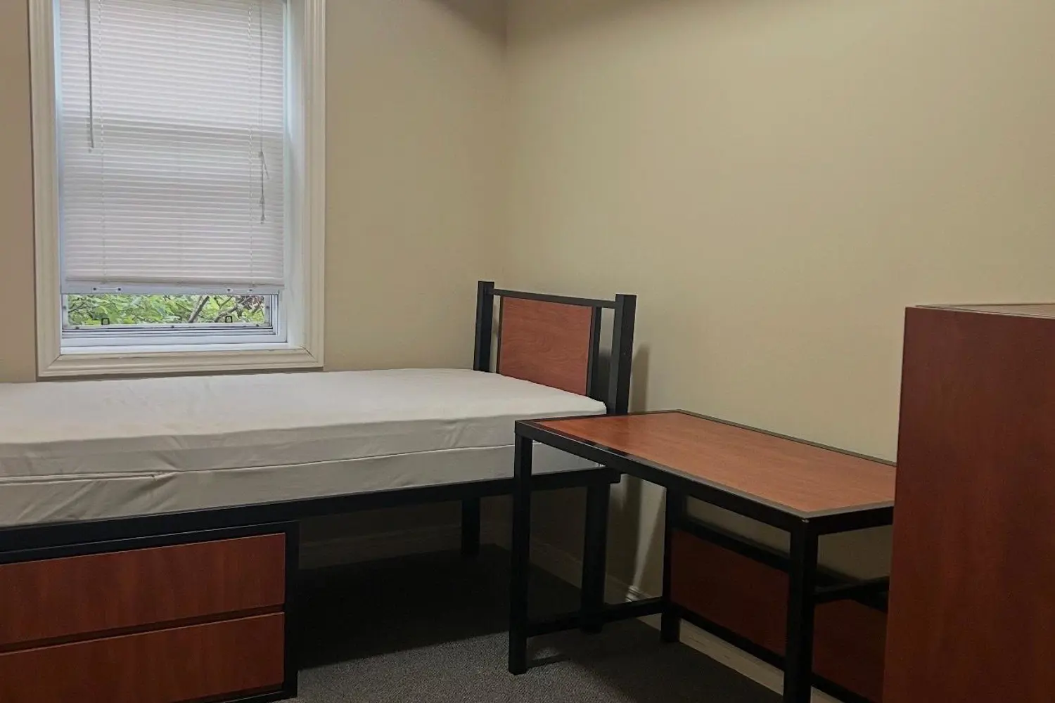 Additional image 5 of 253 Lester Street #104