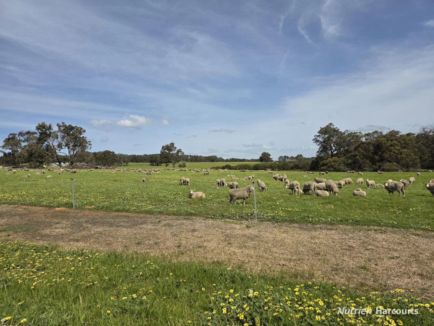 Additional image 35 of 4038 & 4184 Chesterpass Road, Takalarup WA 6324