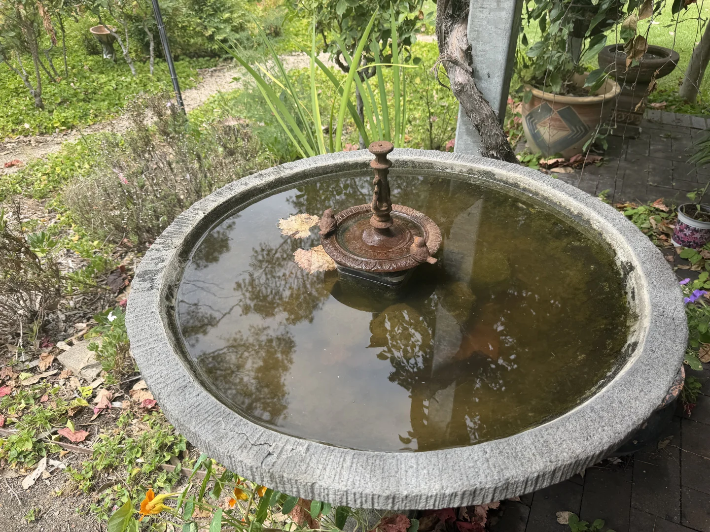 Additional image 32 of Inverell NSW 2360